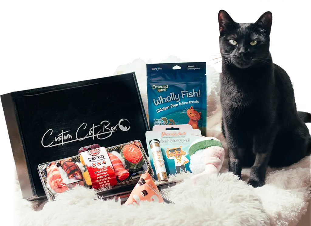 A stylish cat food subscription box overflowing with delicious cat food varieties, designed to delight your furry companion.