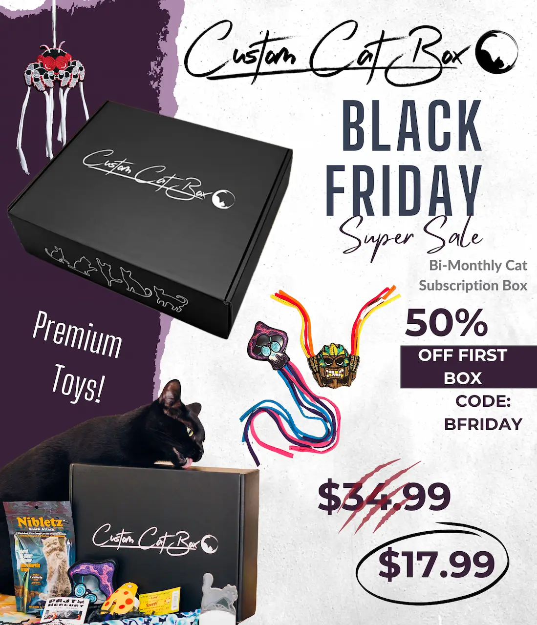 Custom Cat Box Black Friday promo